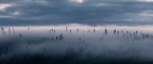 Rå © 2019 AG Kurzfilm e.V.