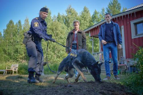 Wolfssommer  Blutige Spurer  ZDF/ TV4 Robert Eldrim