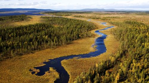 Europas Urwälder – Unberührtes Lappland © 3sat
