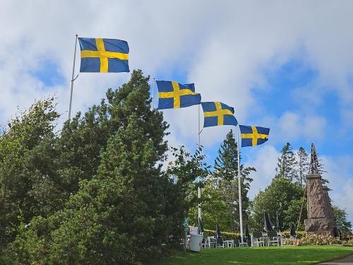 Schwedische Flagge  Wolfgang Sander 2025